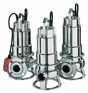 Ebara DW 100 1 Ebara DW 100